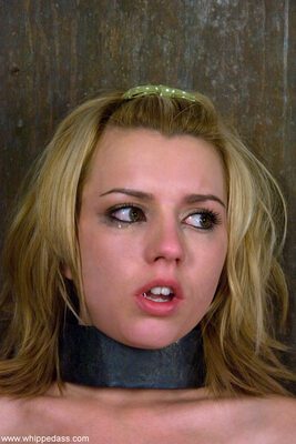 Picture tagged with: American, Blonde, Eyes, Lexi Belle, Whipped Ass, Bondage, Face