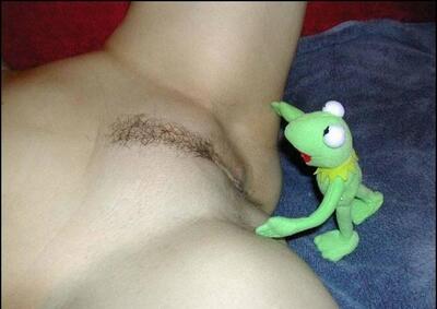 Изображение помечено: Close-up, Funny, Kermit, Pussy