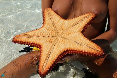 Изображение помечено: Skinny, Bikini Life Trip to Iguana Island, Blonde, Katya Clover - Mango A, katya-clover.com, Russian, Small Tits