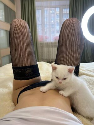 Изображение помечено: Skinny, Lera Buns - Valeriia Makusheva - Valeria Titova, Cat, Lingerie, Russian, Tummy